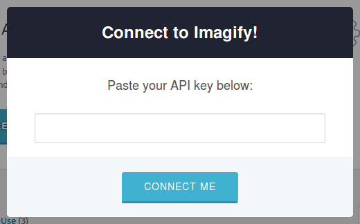 Imagify API key input screenshot