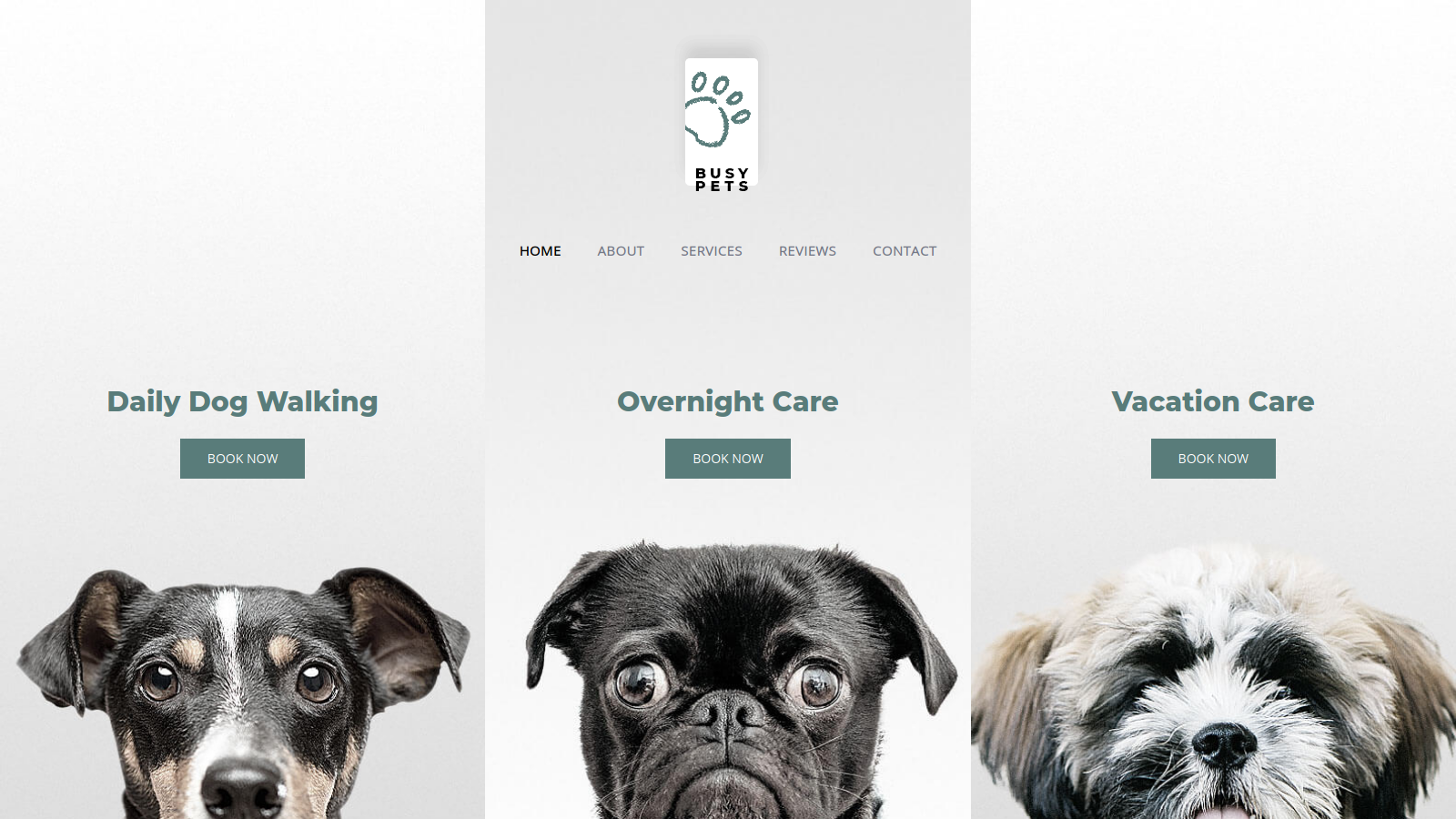 Screenshot of Pet Care demo site