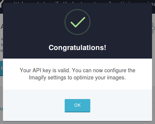 Imagify API key success notification
