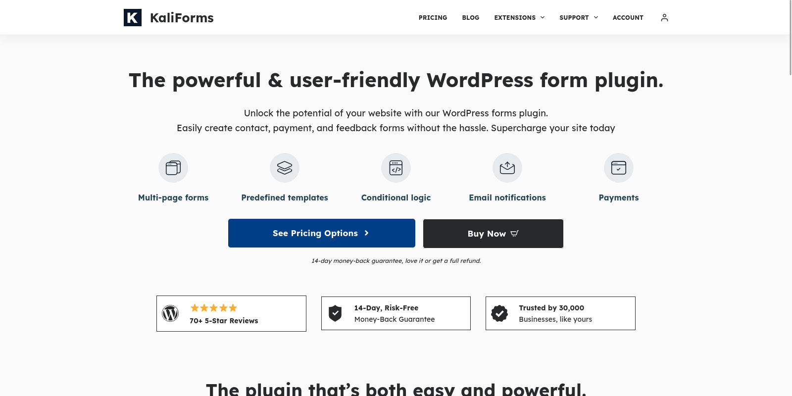 Kali Forms website screenshot